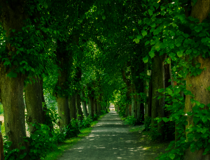 Bildplatzhalter