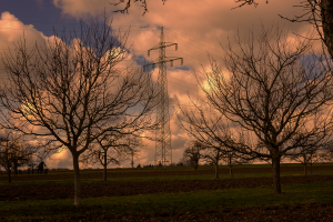 Bildplatzhalter
